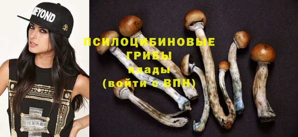 МДПВ Михайловск