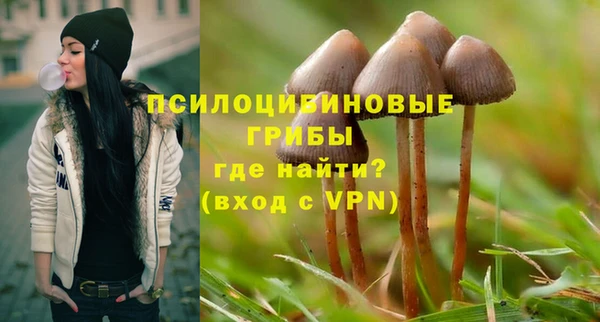 МДПВ Михайловск
