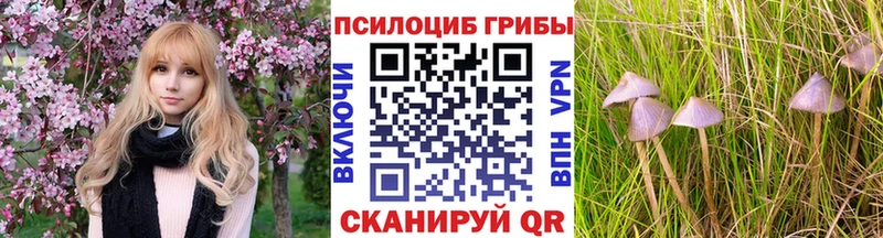 наркотики  Суоярви  Псилоцибиновые грибы MAGIC MUSHROOMS 